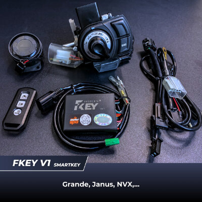 Smartkey Fkey - Grande, Janus, NVX,...